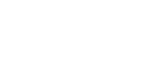 angelini consumer logo